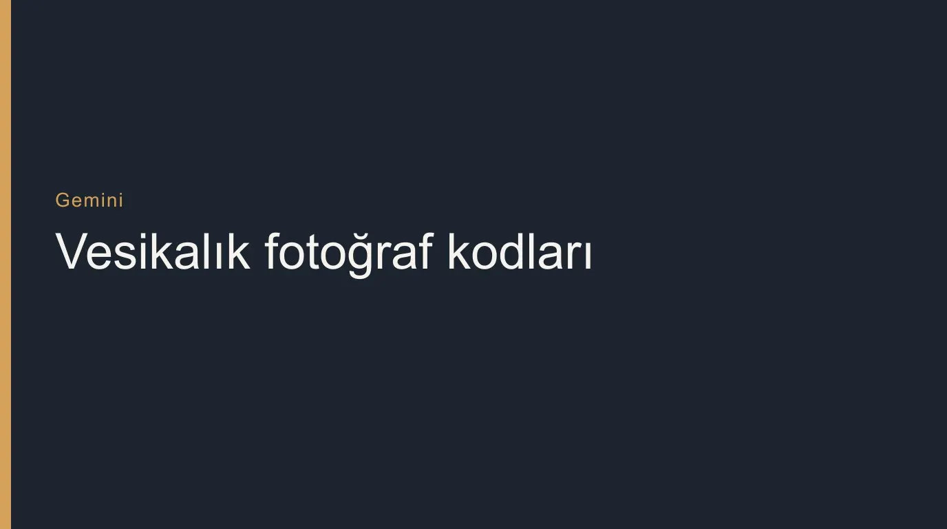 Gemini ile Vesikalık Fotoğraf Yapma: Türkçe Kopyala-Yapıştır Kodlar - blog yazısı görseli