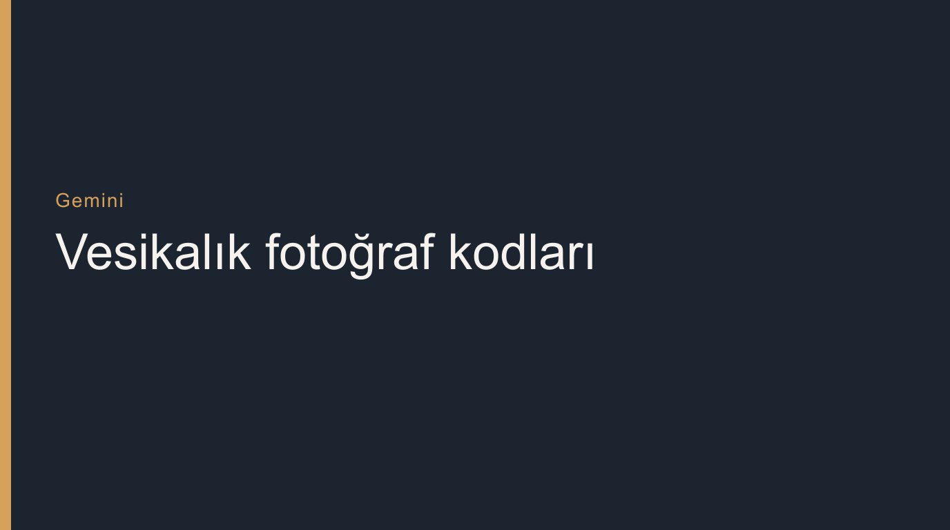 Gemini ile Vesikalık Fotoğraf Yapma: Türkçe Kopyala-Yapıştır Kodlar